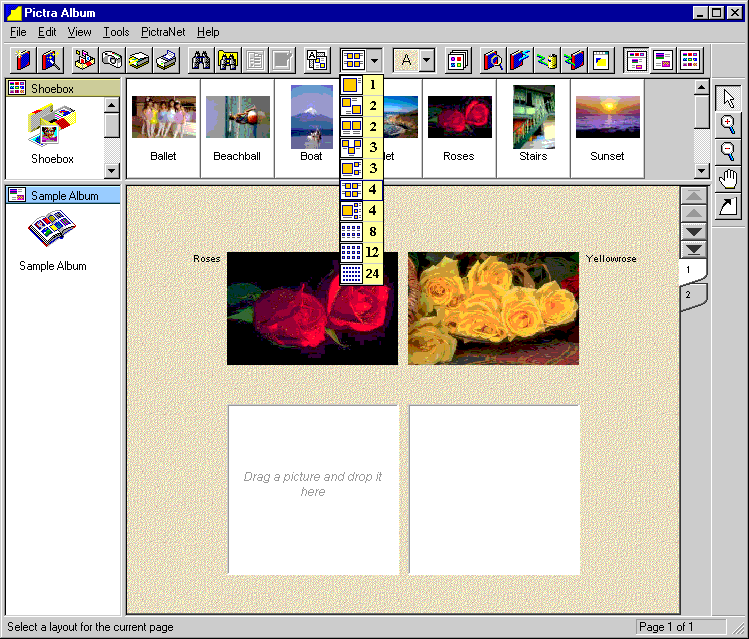 pictra application screenshot